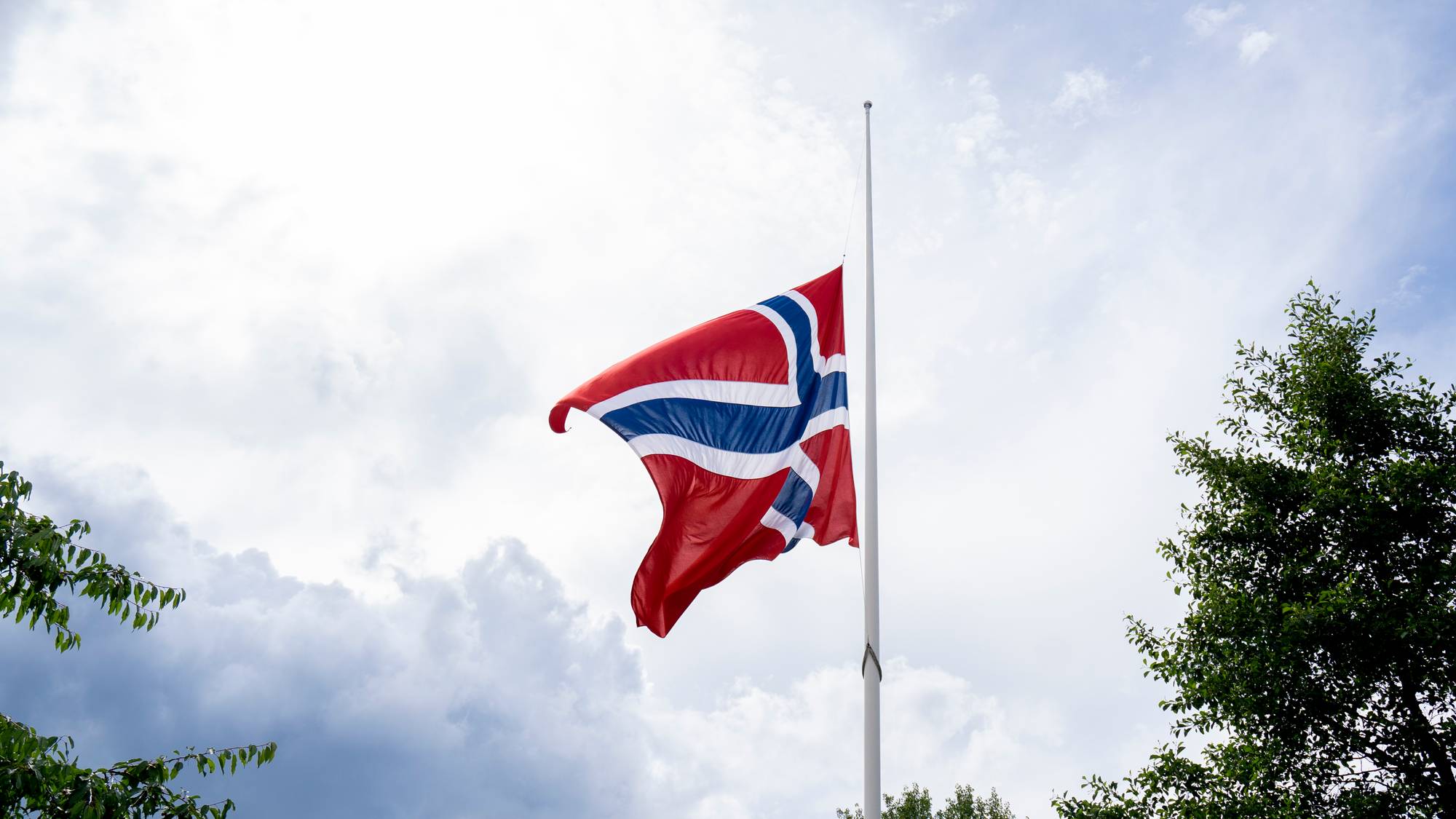 Et norsk flagg vaier på halv stang på en flaggstang. I bakgrunnen sees blå himmel og grønne trær.