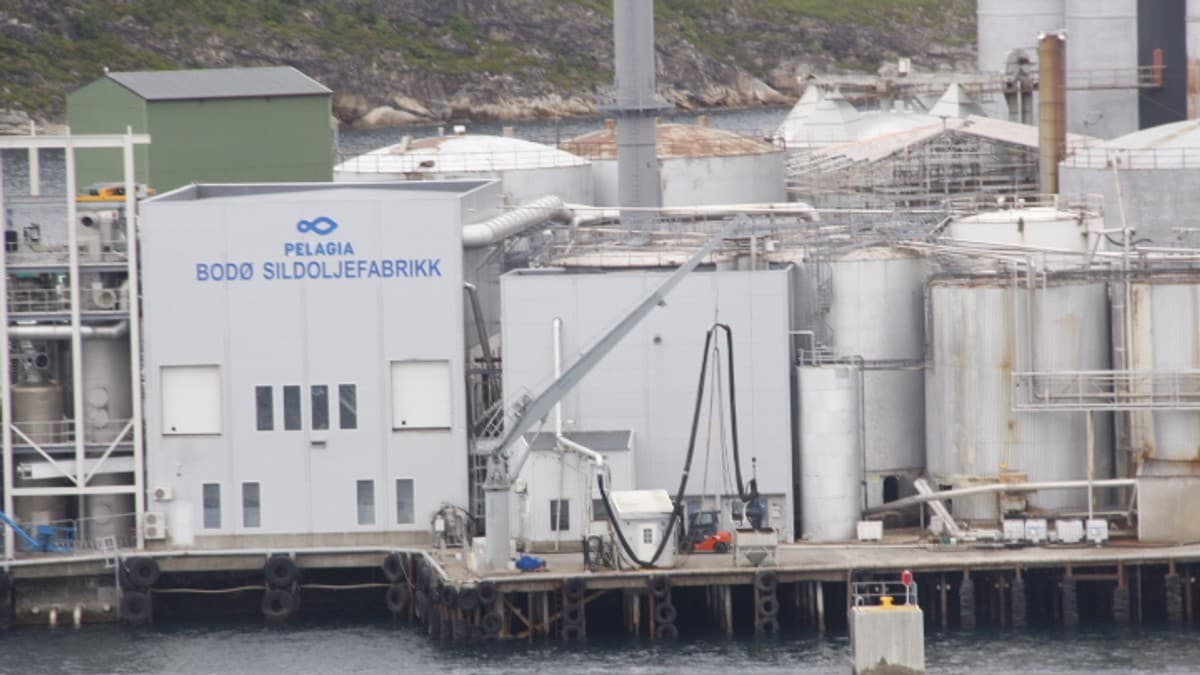 Pelagia kan miste utslippstillatelsen etter lang driftsstans