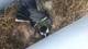 Foto: Privat Fugl i postkasse