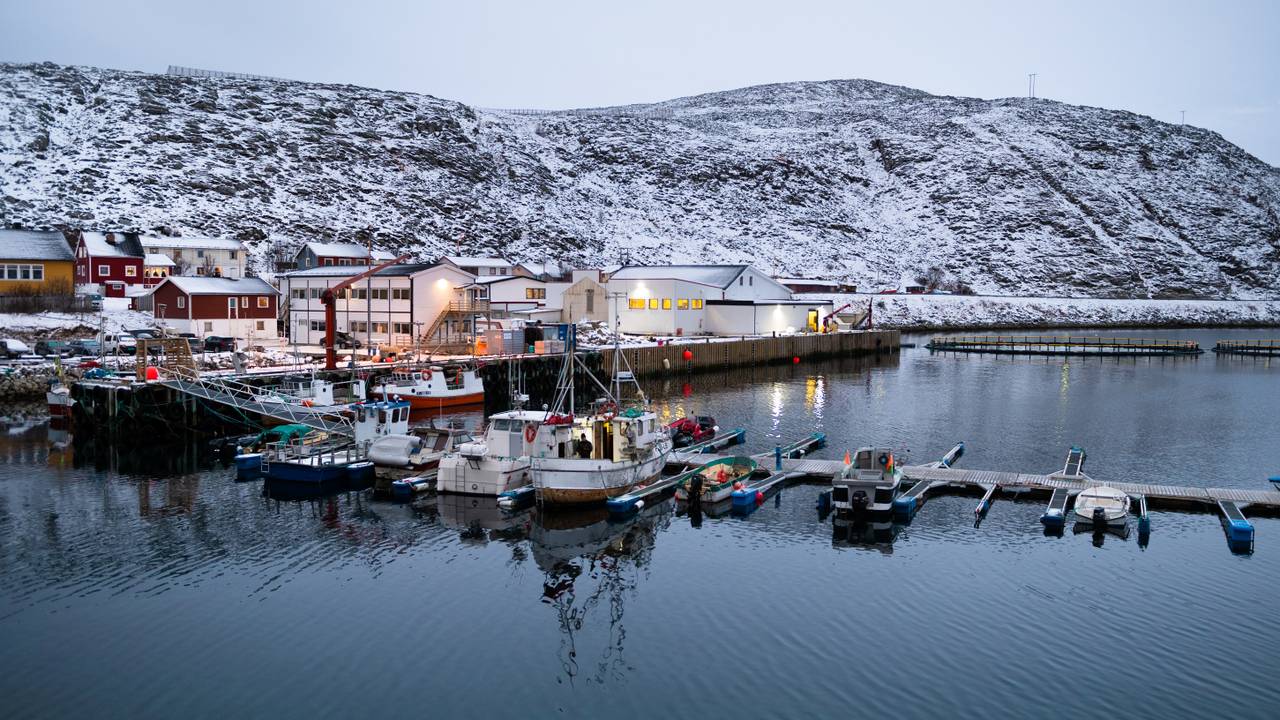 Lyder Fisk Dyfjord