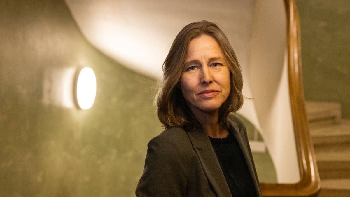 Mener de som utsettes for partnervold sviktes av samfunnet