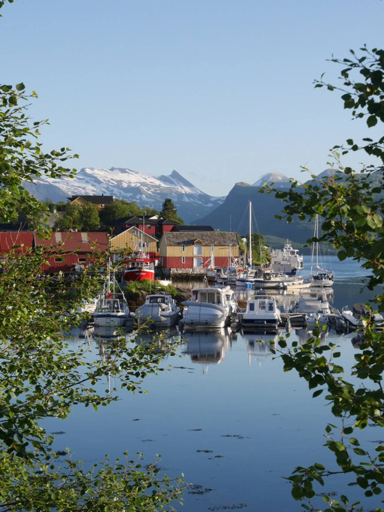 Inndyr havn.