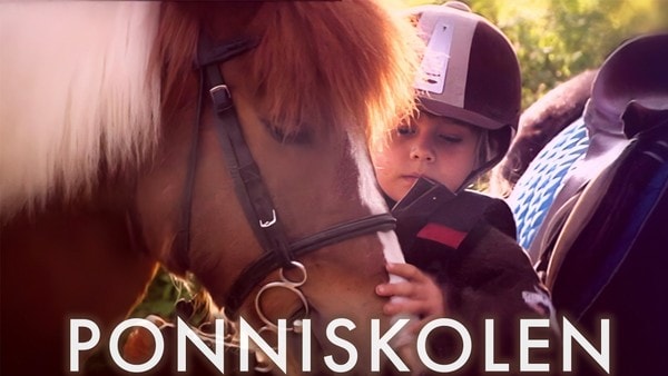 Åtte barn mellom 11 og 14 år tillbringer to uker på rideleir der de får hjelp med ulike problemer de har med ponniene sine. Svensk realityserie.