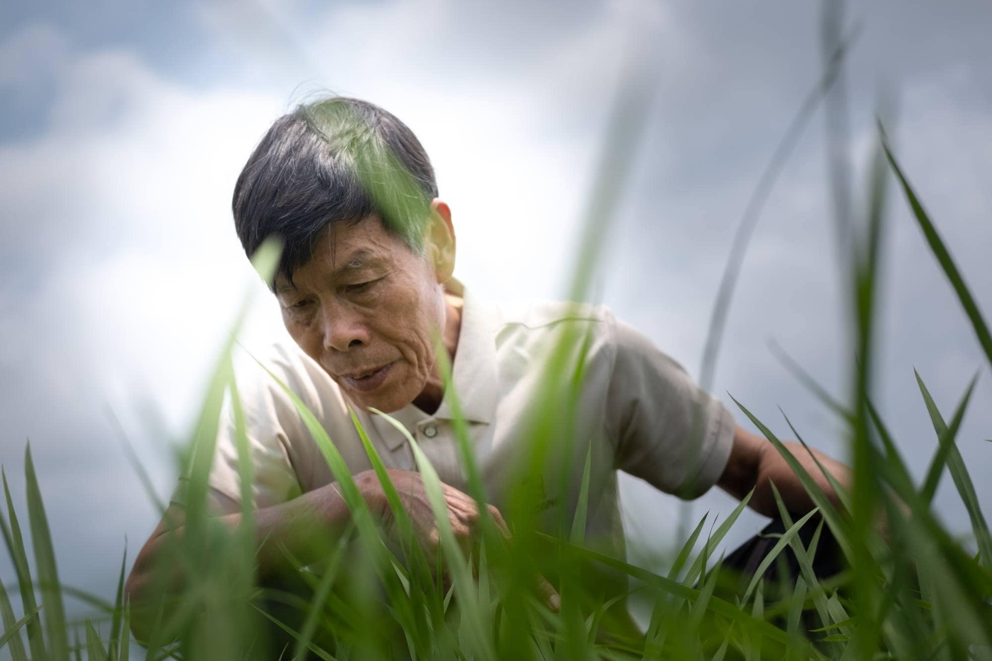 Risbonde Li Yongxiang i sak om Kinas selvforsyning,