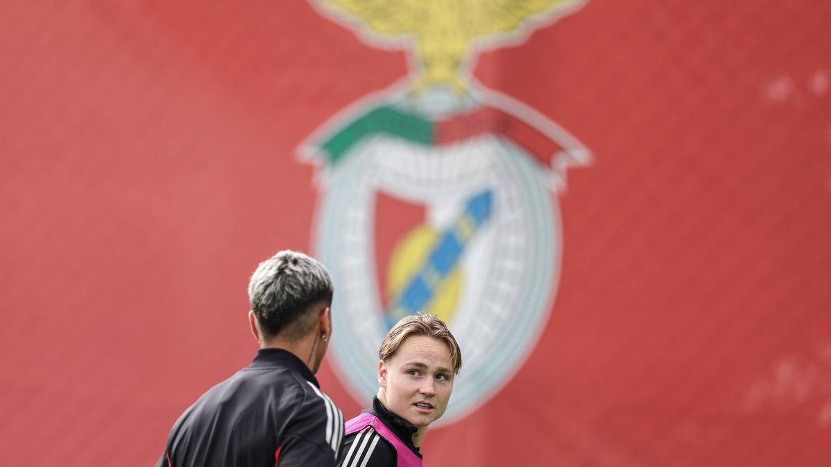 Schjelderup innrømmet lovbrudd lørdag – starter på benken for Benfica