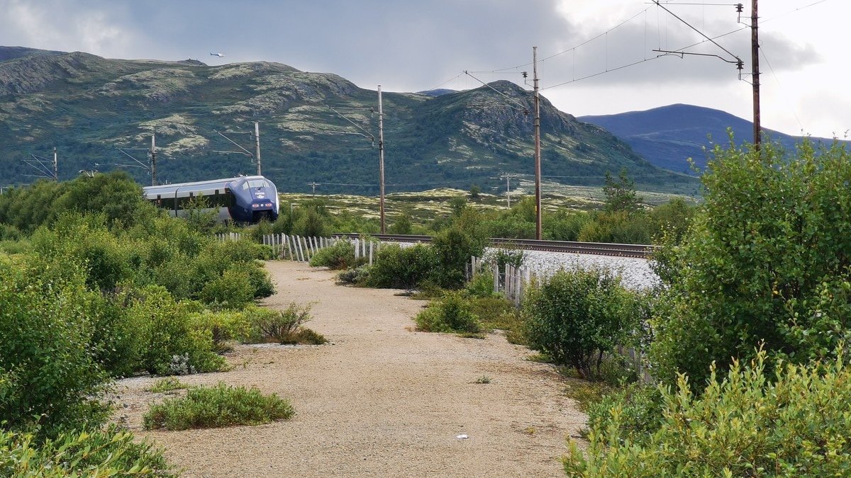 Young man hit by passenger train on Dovrefjell – NRK Trøndelag – Local news, TV and radio