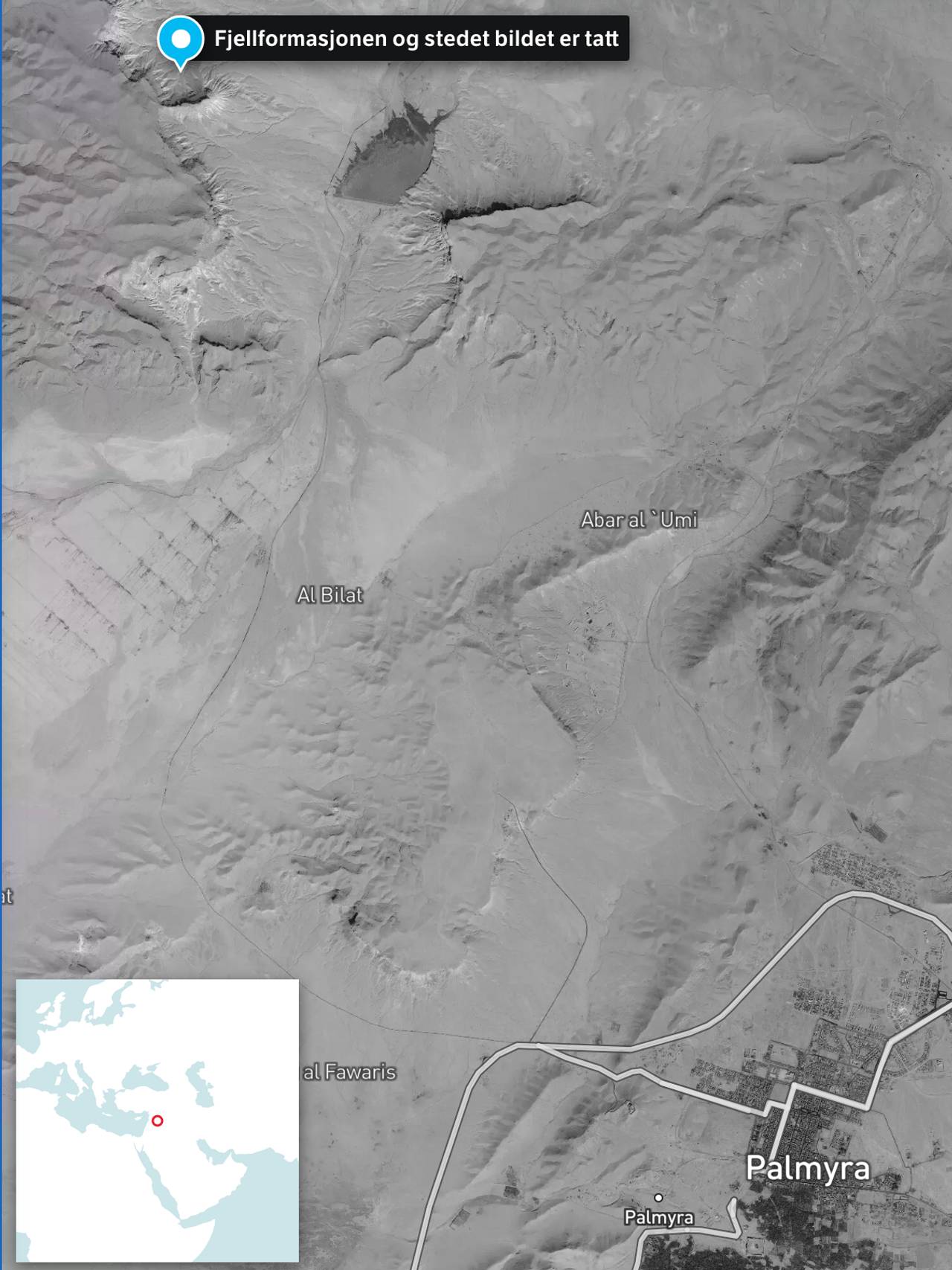 Kart over Palmyra