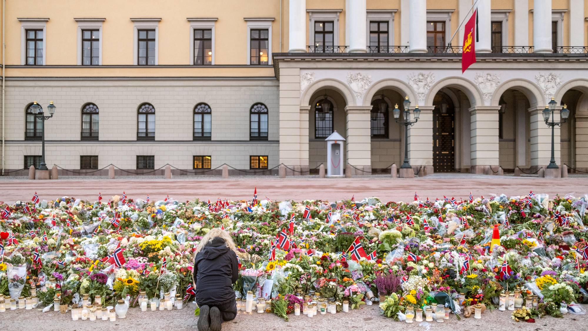 En person kneler foran et stort blomsterhav og lys foran Slottet i Oslo. (Bildebeskrivelsen er laget av en KI-tjeneste)