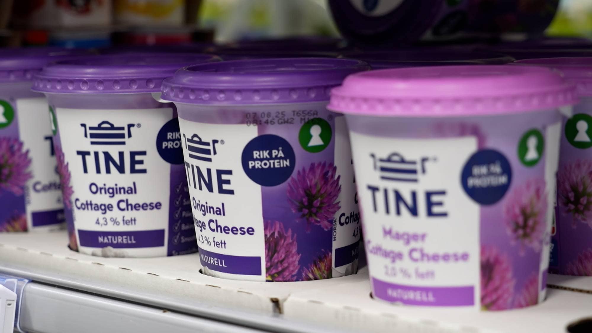 En gruppe cottage cheese-beholdere