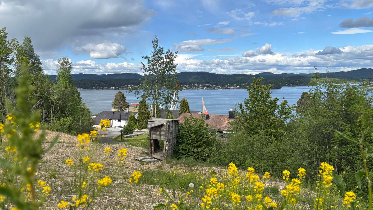 Gikk på knusende tap mot staten: Nå vil miljøvernerne rive vei til 40 millioner