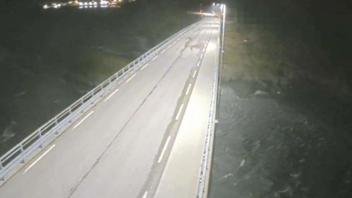 E10 i Lofoten stengt – sterk storm i kastene