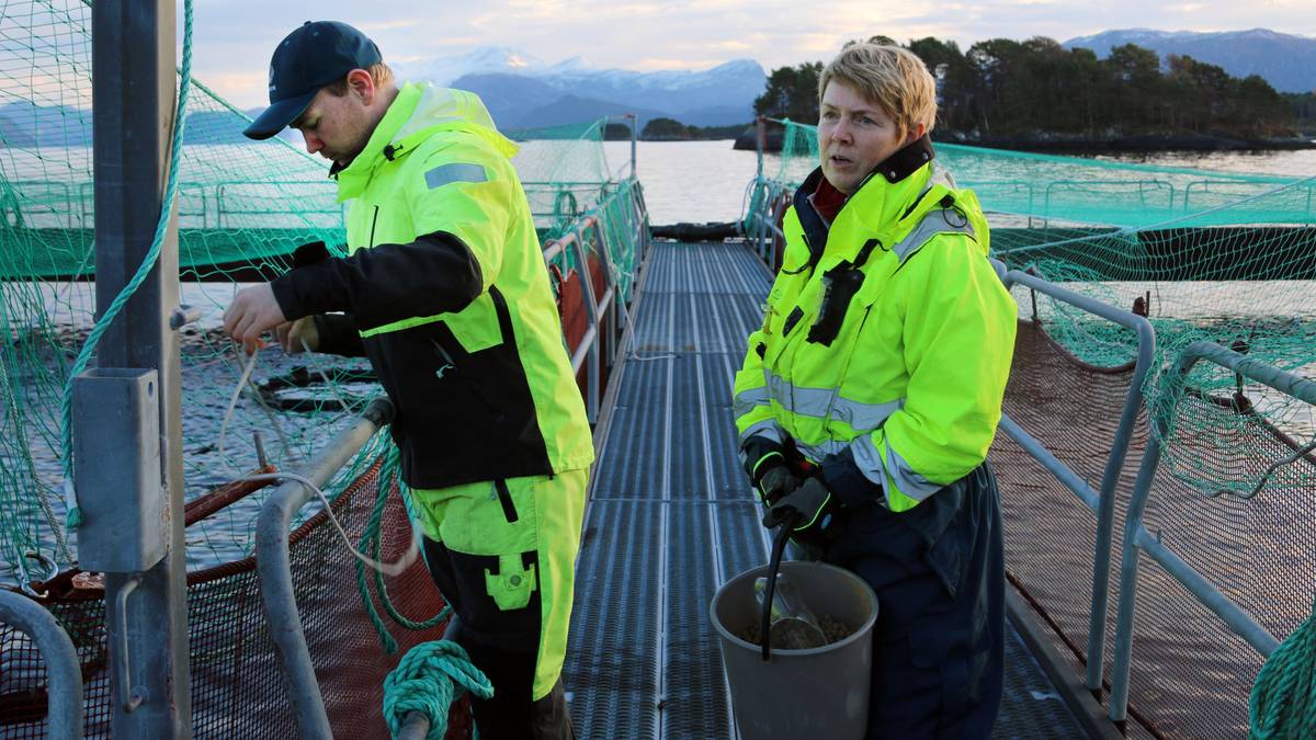 Sterke reaksjonar på Trumps handelstoll: – Det er jo litt uverkeleg dette