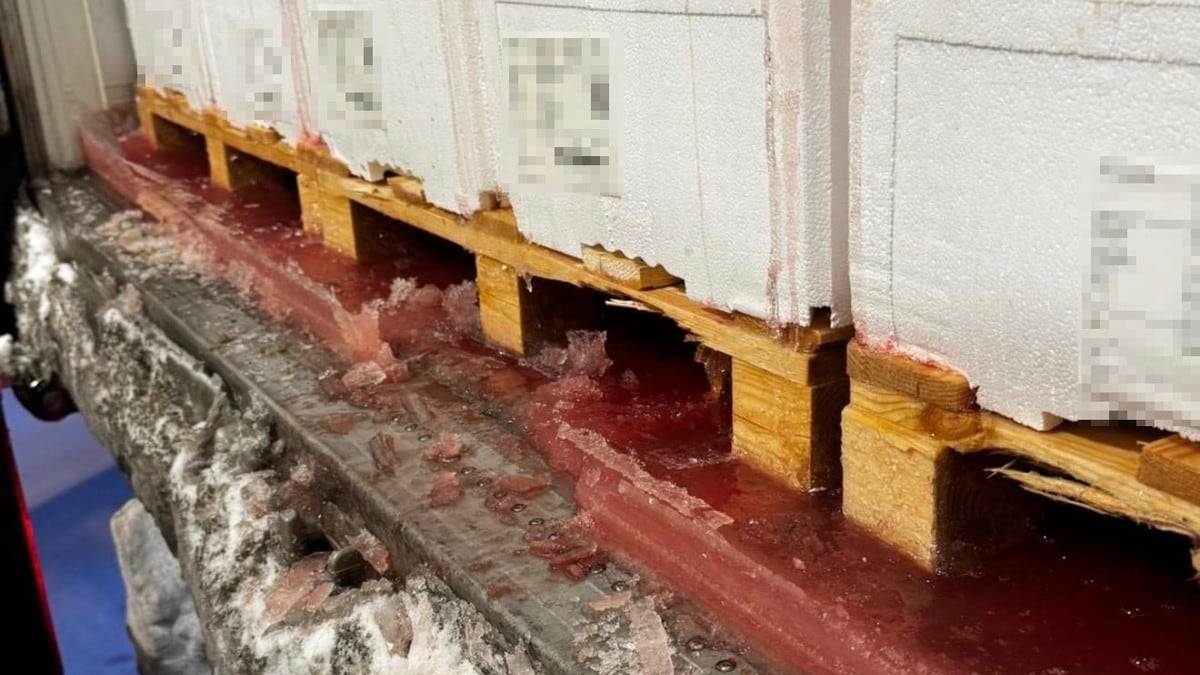 Vil straffa lastebilsjåførane for fiskeslim og blod på norske vegar: – Absurd å peika på oss