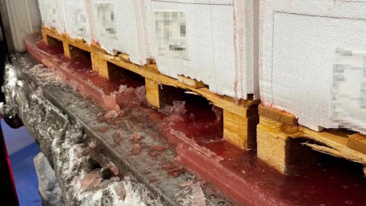 Vil straffa lastebilsjåførane for fiskeslim og blod på norske vegar: – Absurd å peika på oss