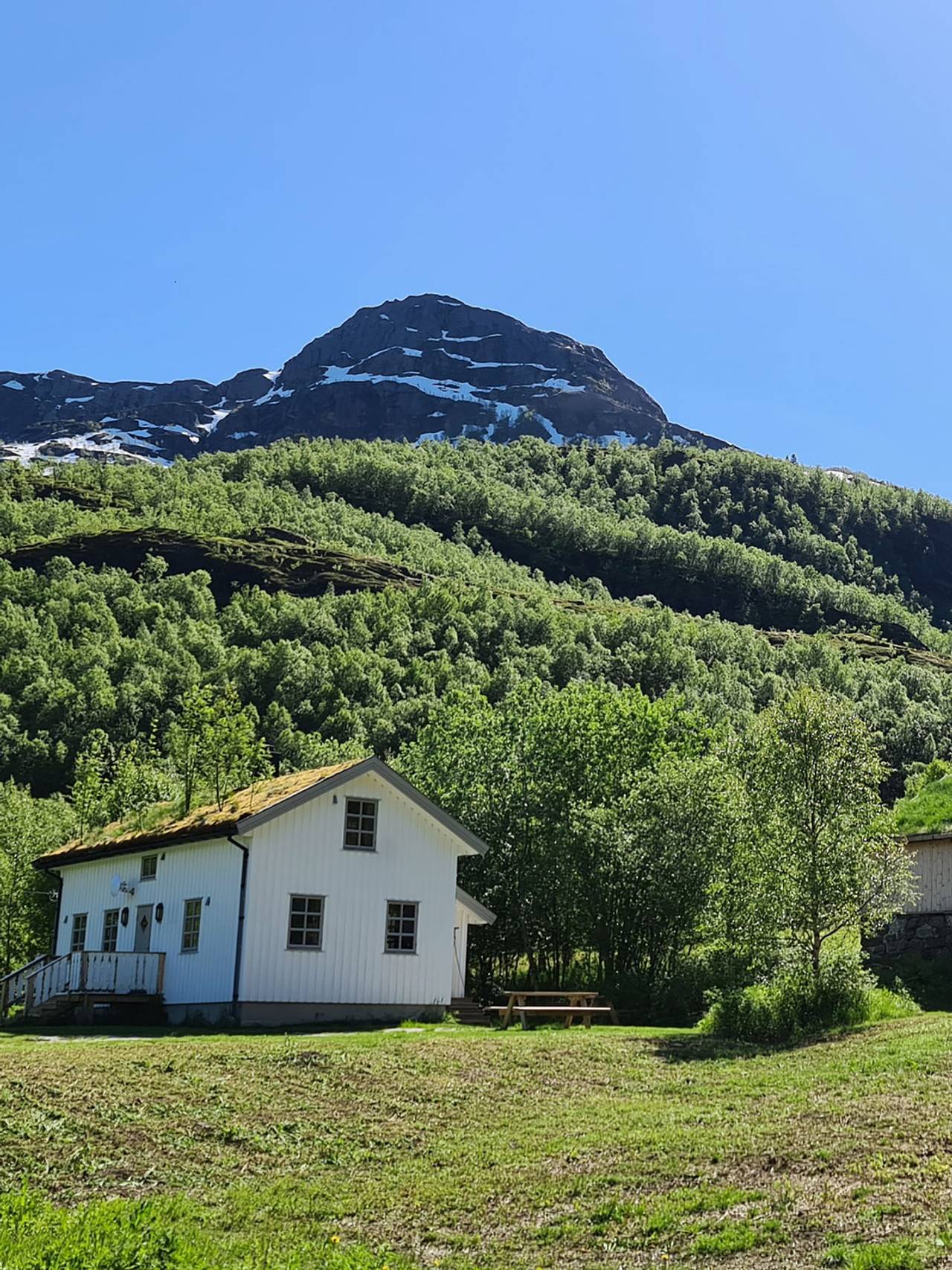 Straumfjorden i Steigen ligger i fredelige omgivelser med utsikt til både sjø og fjell.