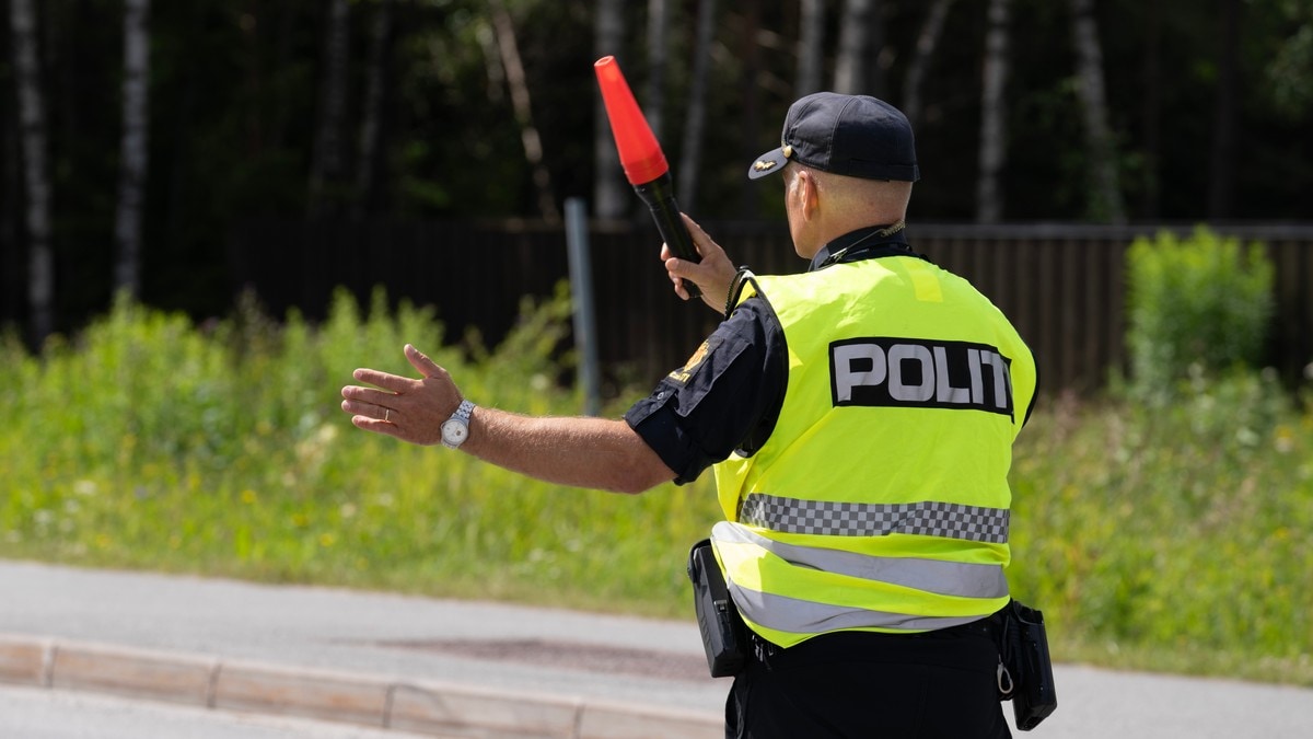 Flere gebyrer etter kontroll på E6 – klatret i førerhuset under fart