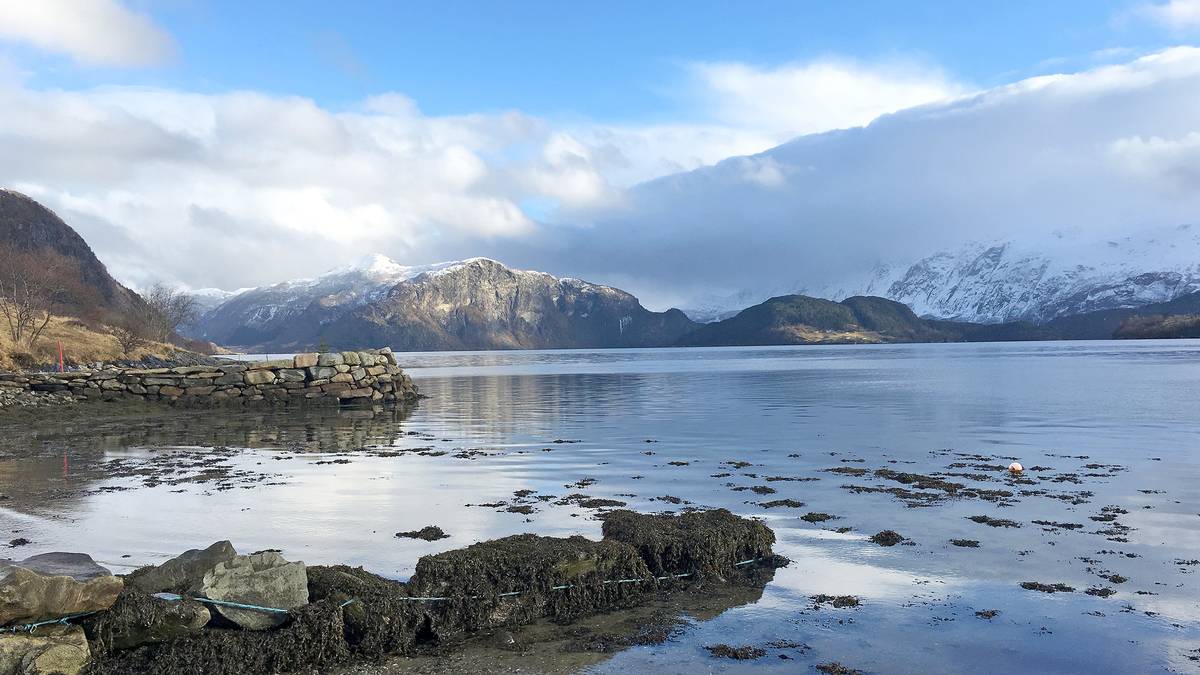 Høgsterett seier ja til å behandle fjordsøksmålet