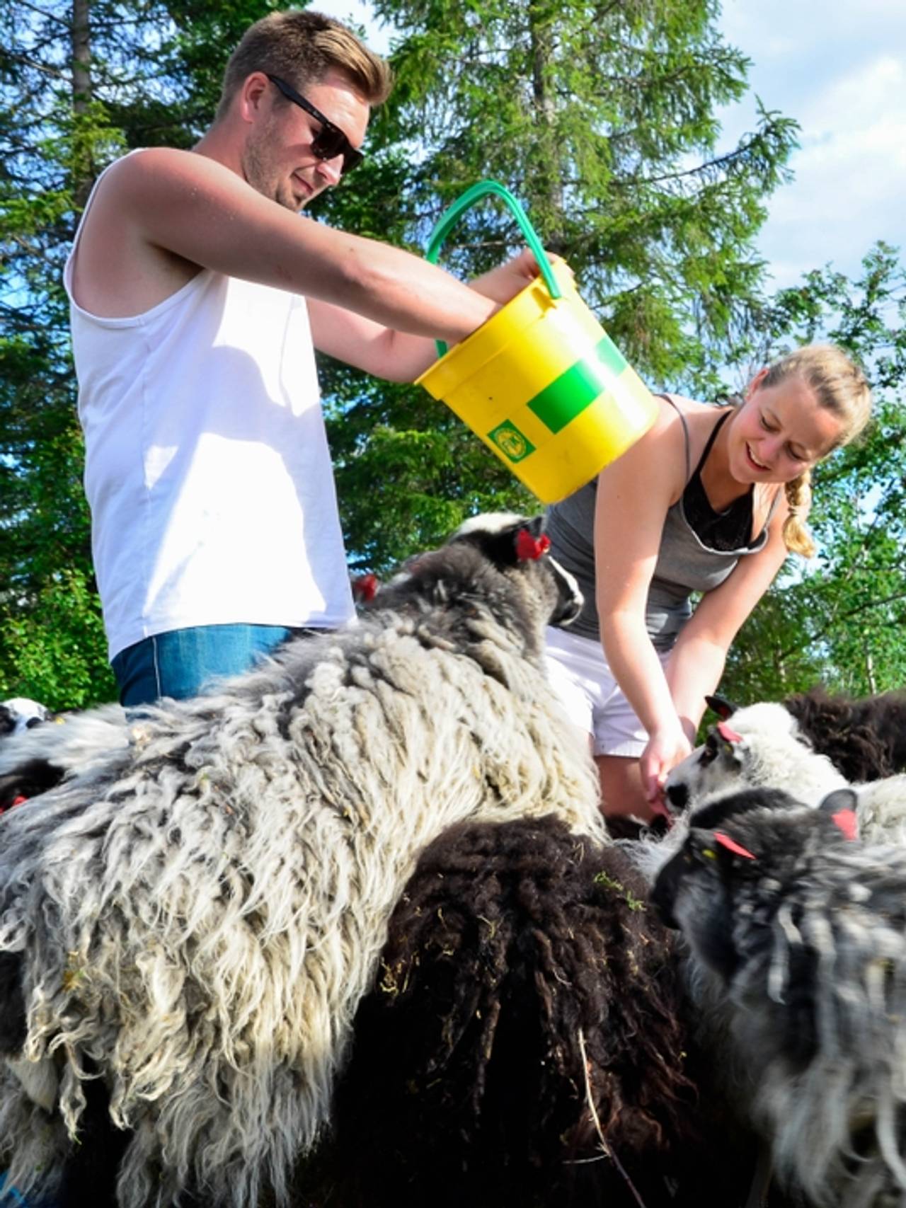 Elise Bratteng Rønning og Marius Martinsen, Til Elise i Utskaprpen