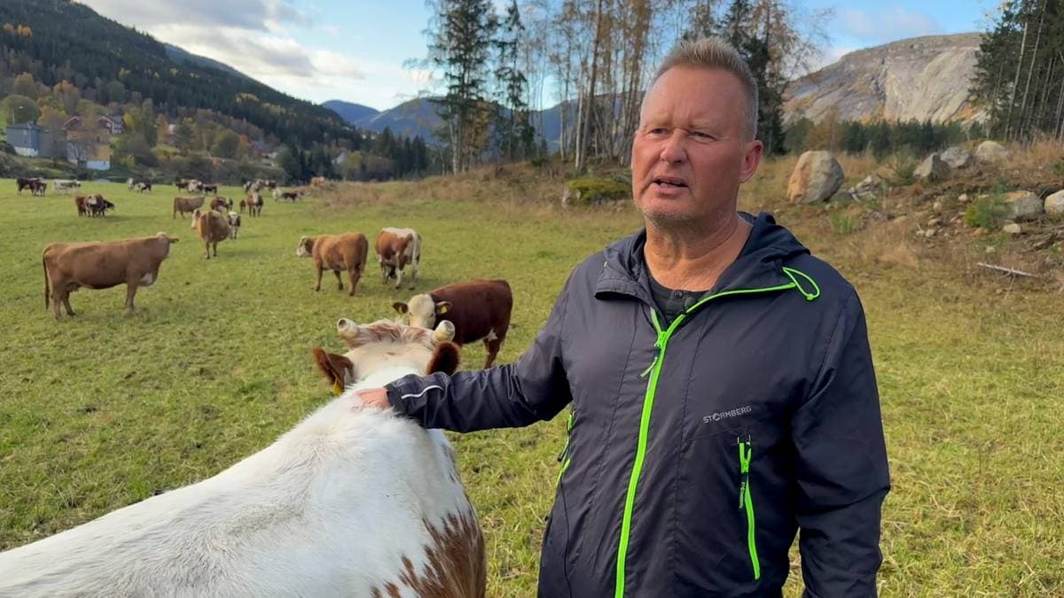 Får egen stilling som skal jobbe med villrein