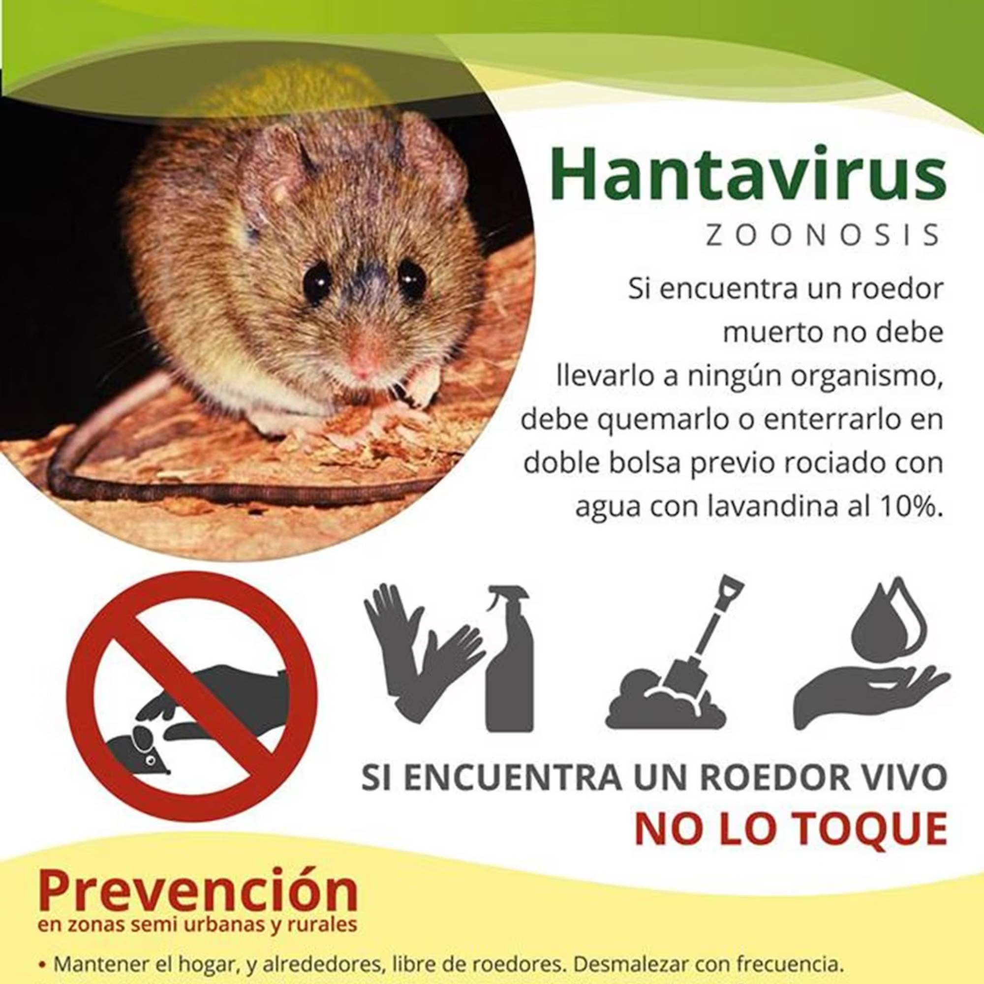 Helsemyndighetene i Argentina med hantavirusinformasjon