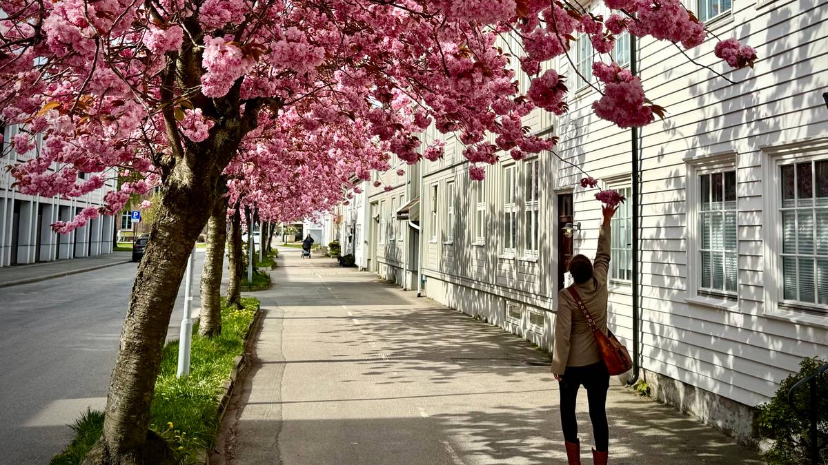 Varmeste april siden målingene startet