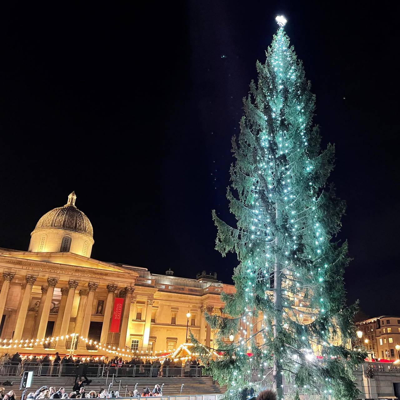 Julegran nr. 75 fra Oslo til Trafalgar Square i London