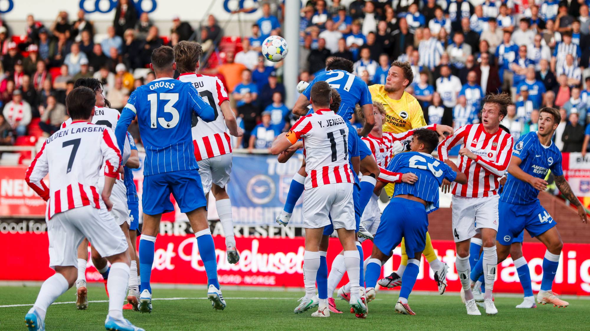 Brightons keeper Bart Verbruggen 