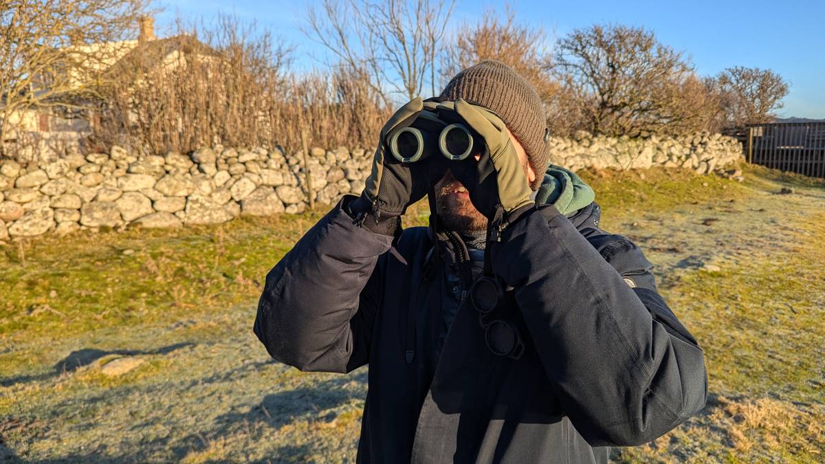 – Dramatisk nedgang i fugletellingen