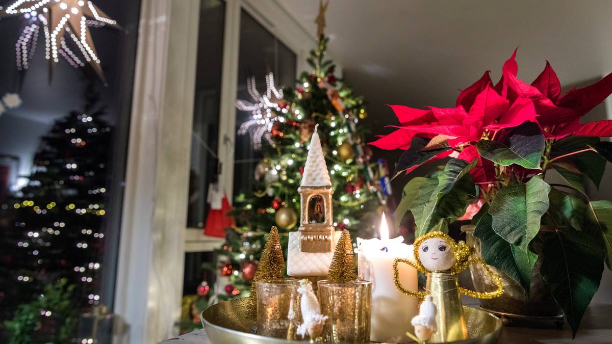 «Rauddagskrise» i 2026: – Det er lov å vere skuffa