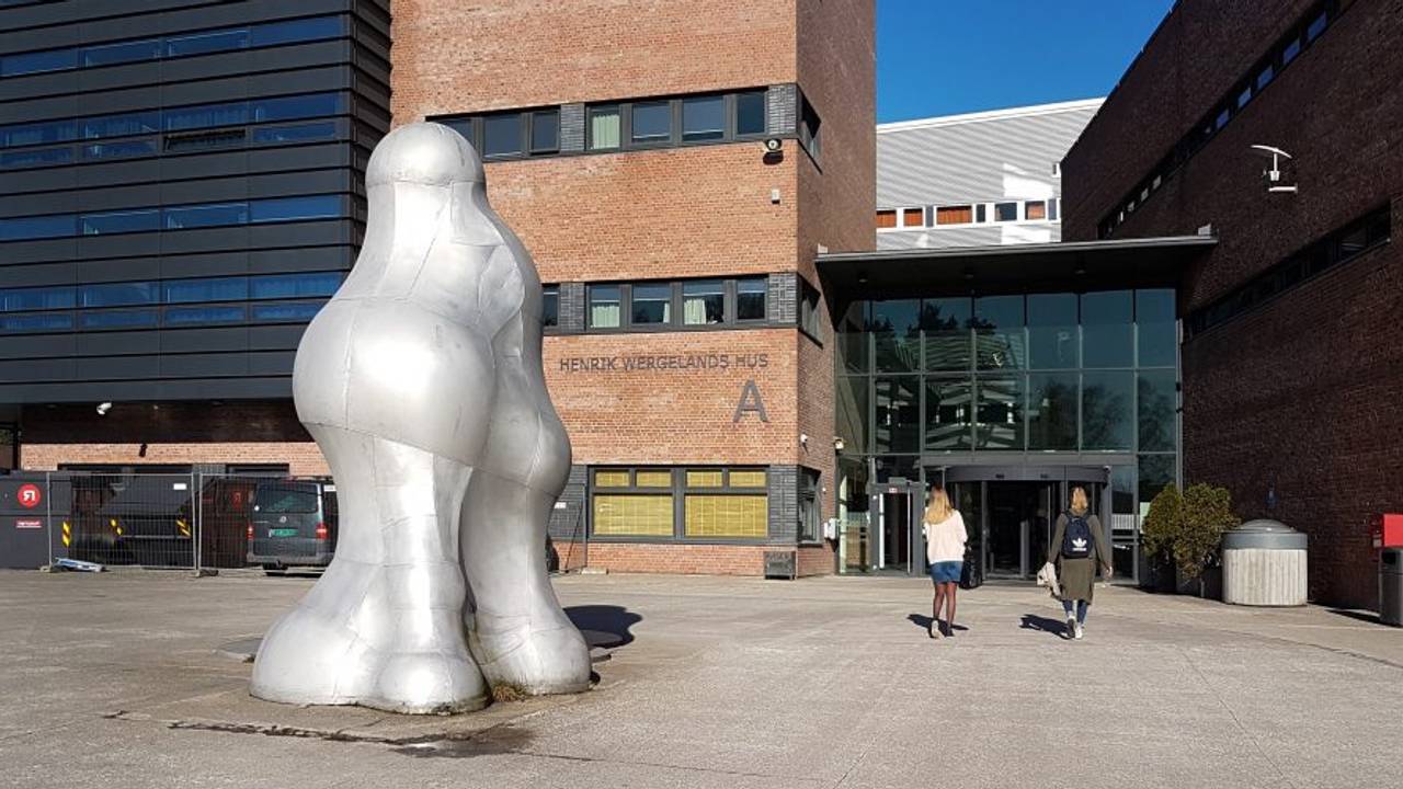 Kunstverket "Skall/kranium" av Per Inge Bjørlo