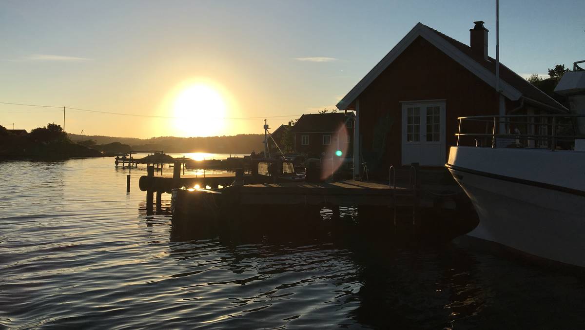 Mange kysthytter til salgs