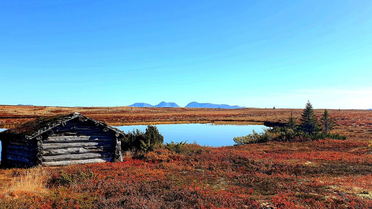 Fonnåsfjellet, Rendalen, Bente Aasbrenn