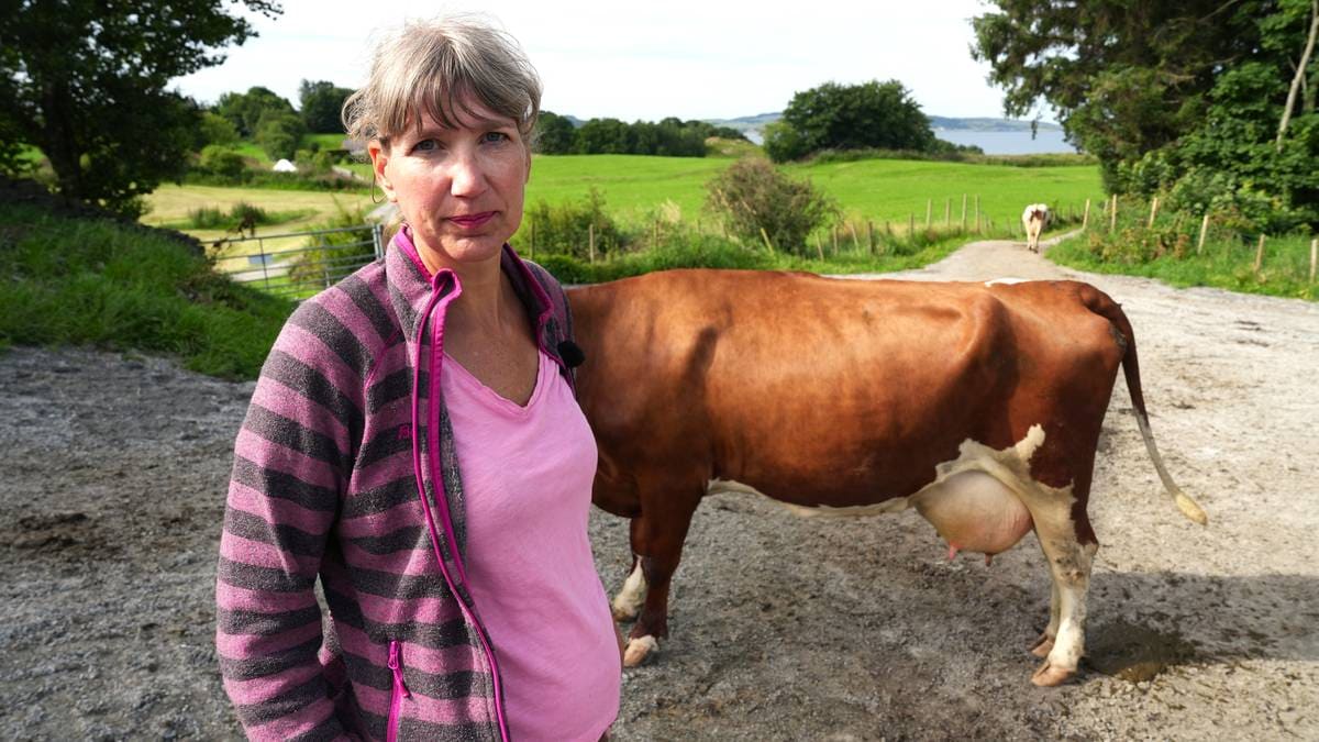 Nye regler skaper bondeopprør: – Frykter jeg må legge ned gården – NRK Rogaland – Lokale nyheter, TV og radio