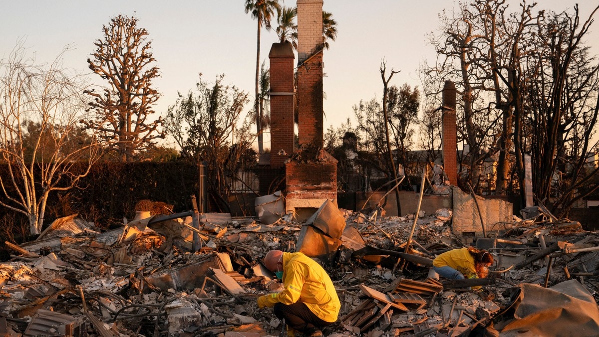 Skogbranner i Los Angeles: Dødsfall, evakueringer og kritikk