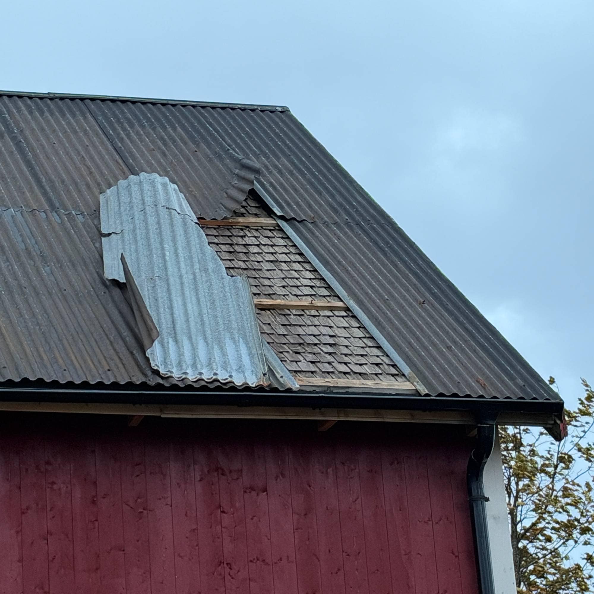 Skadet tak på en rød trebygning der takplater har løsnet. (Bildebeskrivelsen er laget av en KI-tjeneste)