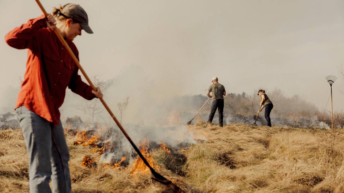 Her går dei tomme for land