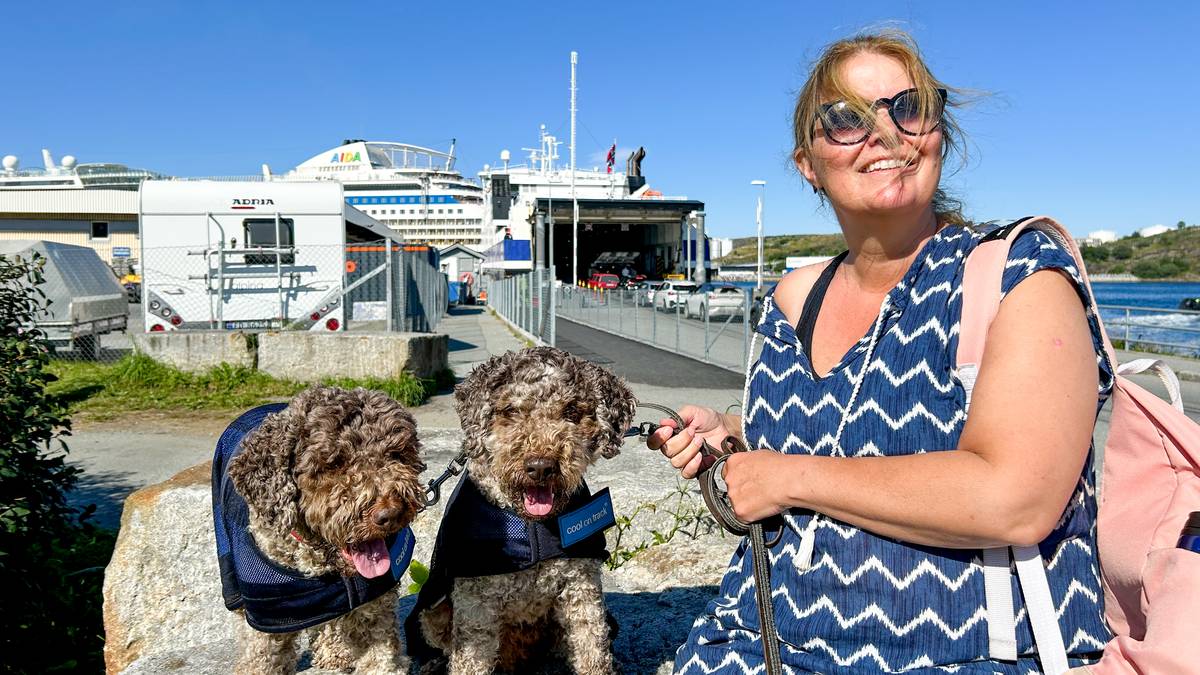 Ulrika må la hundene ligge innelåst i bilen på ferga – veterinær advarer