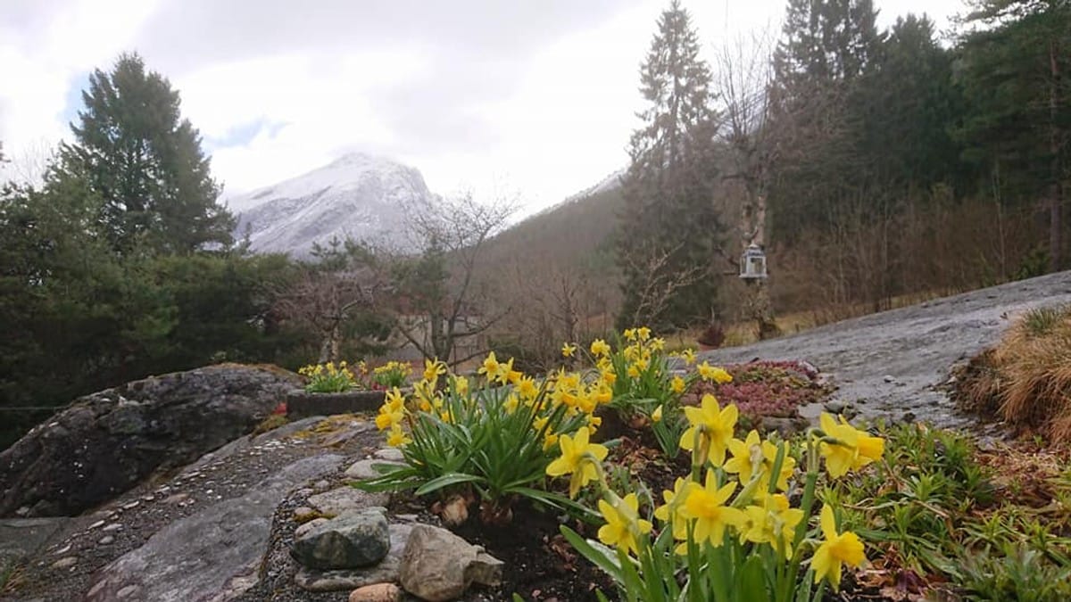 APRIL: – Så var det på an igjen. Det er greitt at denne månaden heiter april og ikkje mai, skriv Randi Ryssdal om dette biletet ho har teke på Sandane.