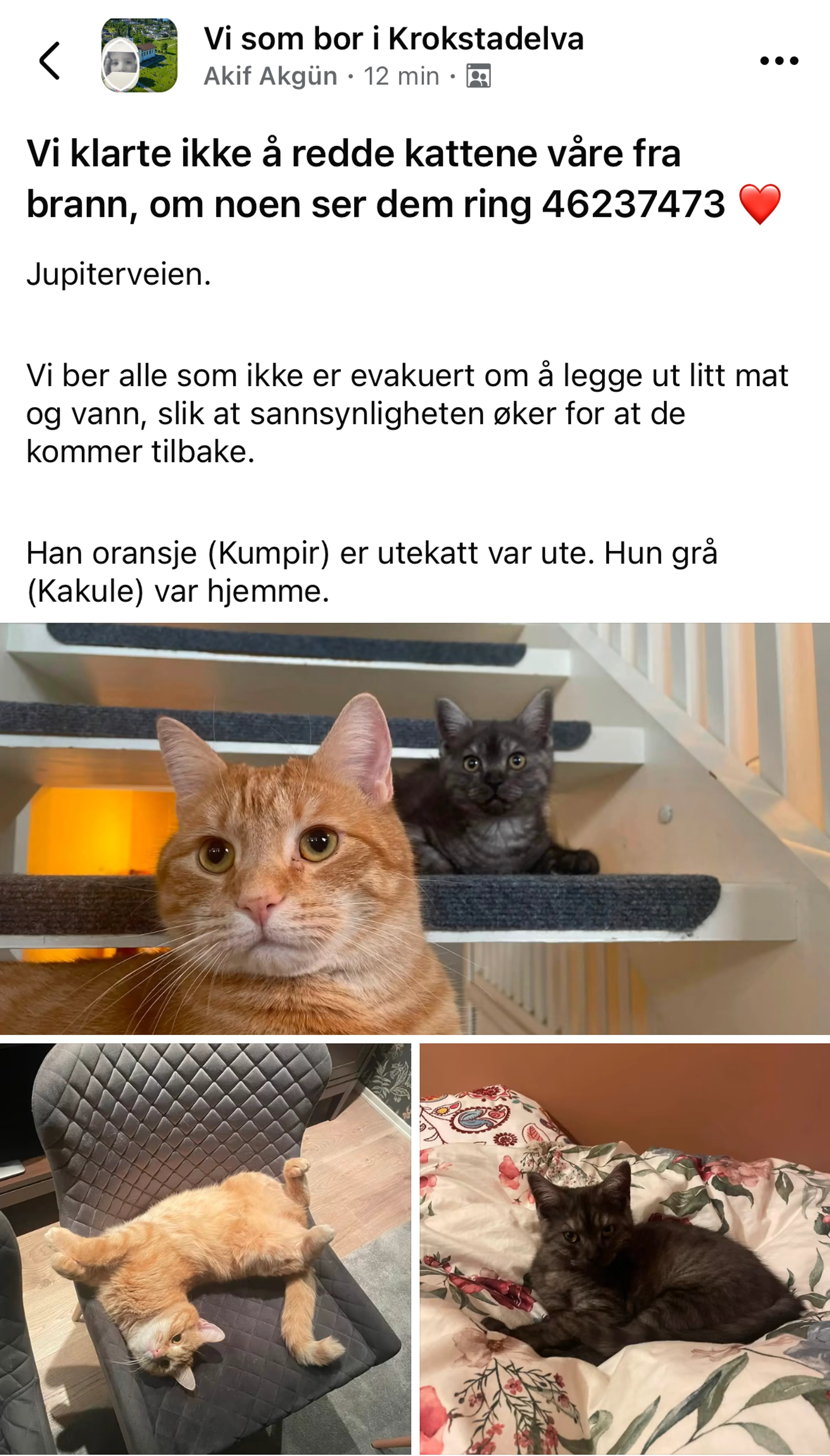 SKjermdump fra Facebook