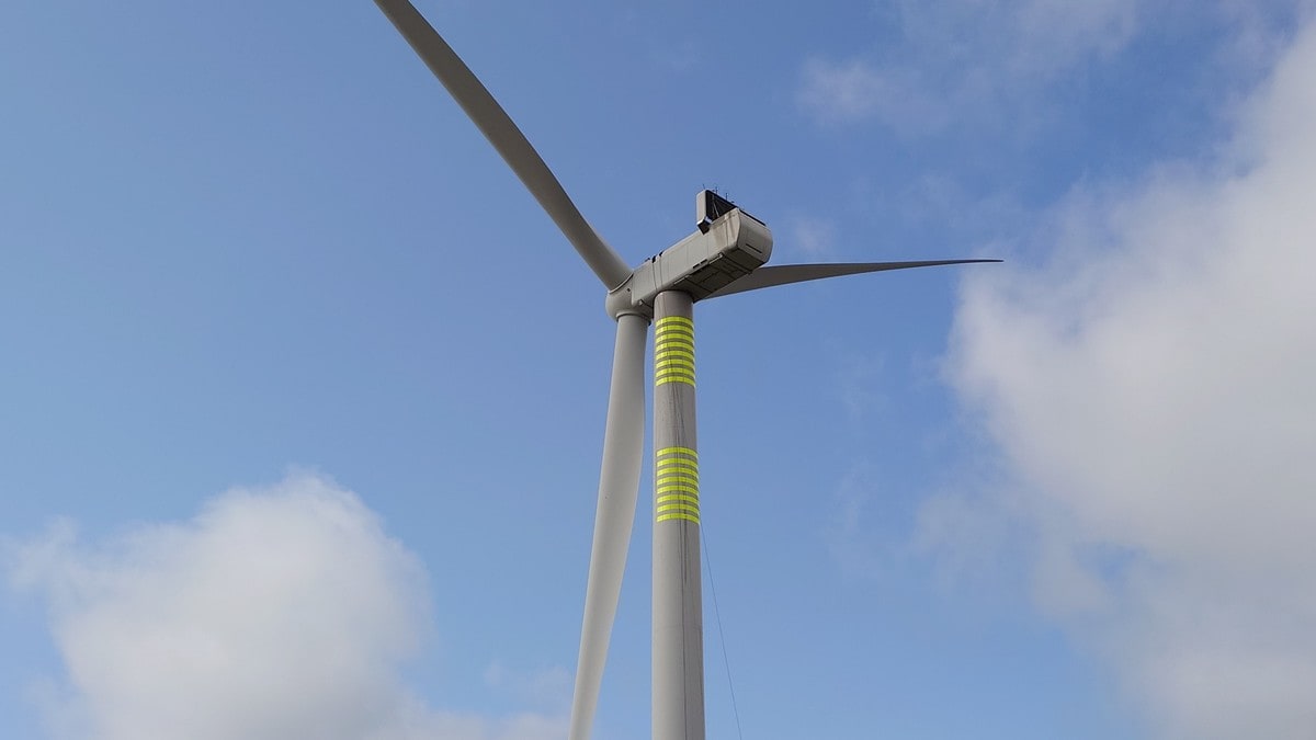 Staten utset krav om refleksbelte etter protestar