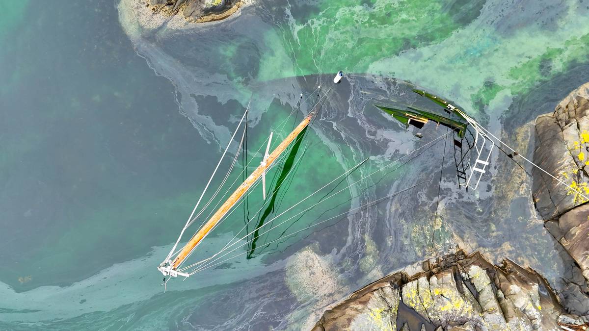 Tusenvis av båtvrak dumpes årlig: – Det enkleste er å la dem seile sin egen sjø