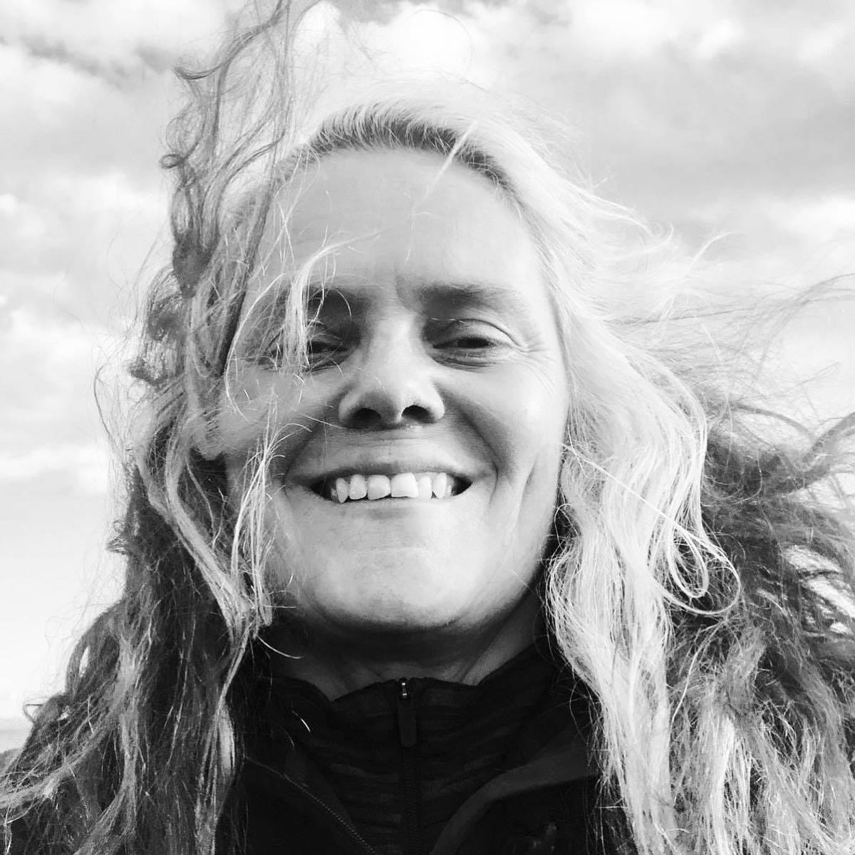 Om kitsch og populære malerier i boka Elg i solnedgang av Arne Lie ...