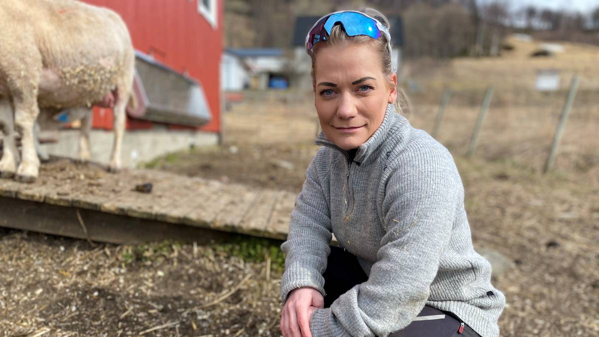 Strømpakken Til Bøndene Er Klar Nrk Vestfold Og Telemark Lokale