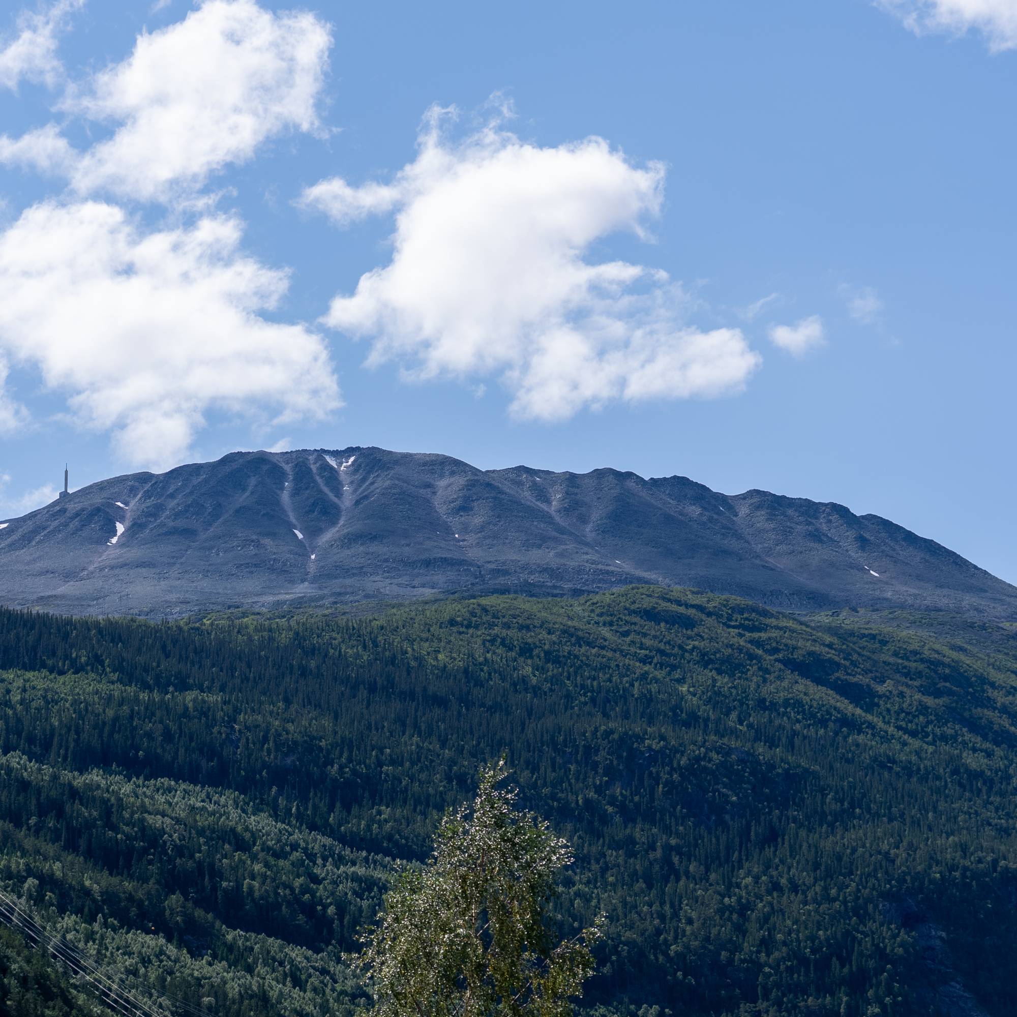 Fjelltopp med skogkledde sider og en sender på toppen under en blå himmel med hvite skyer.
