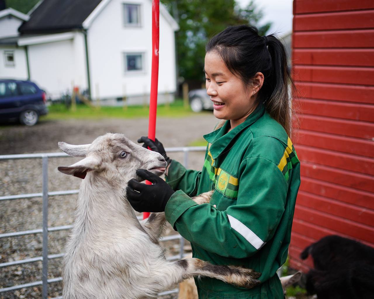 Ann-Hilde koser med en geit.