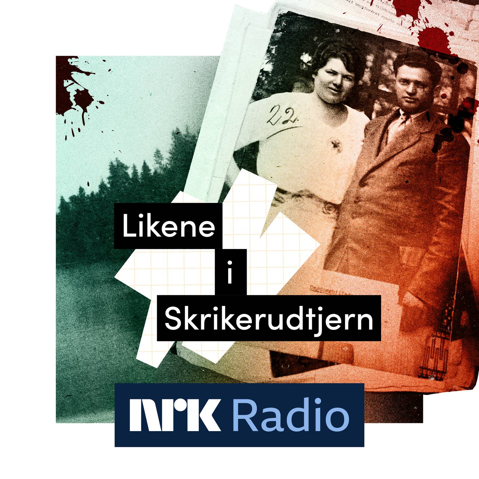 I NRK Radio: Likene i Skrikerudtjern