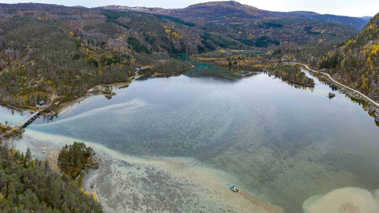 Straumavatnet blir renska for krypsiv