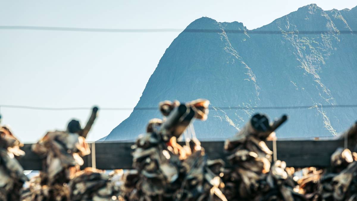 Vil ha egen innkjørsel og parkering for nødetatene