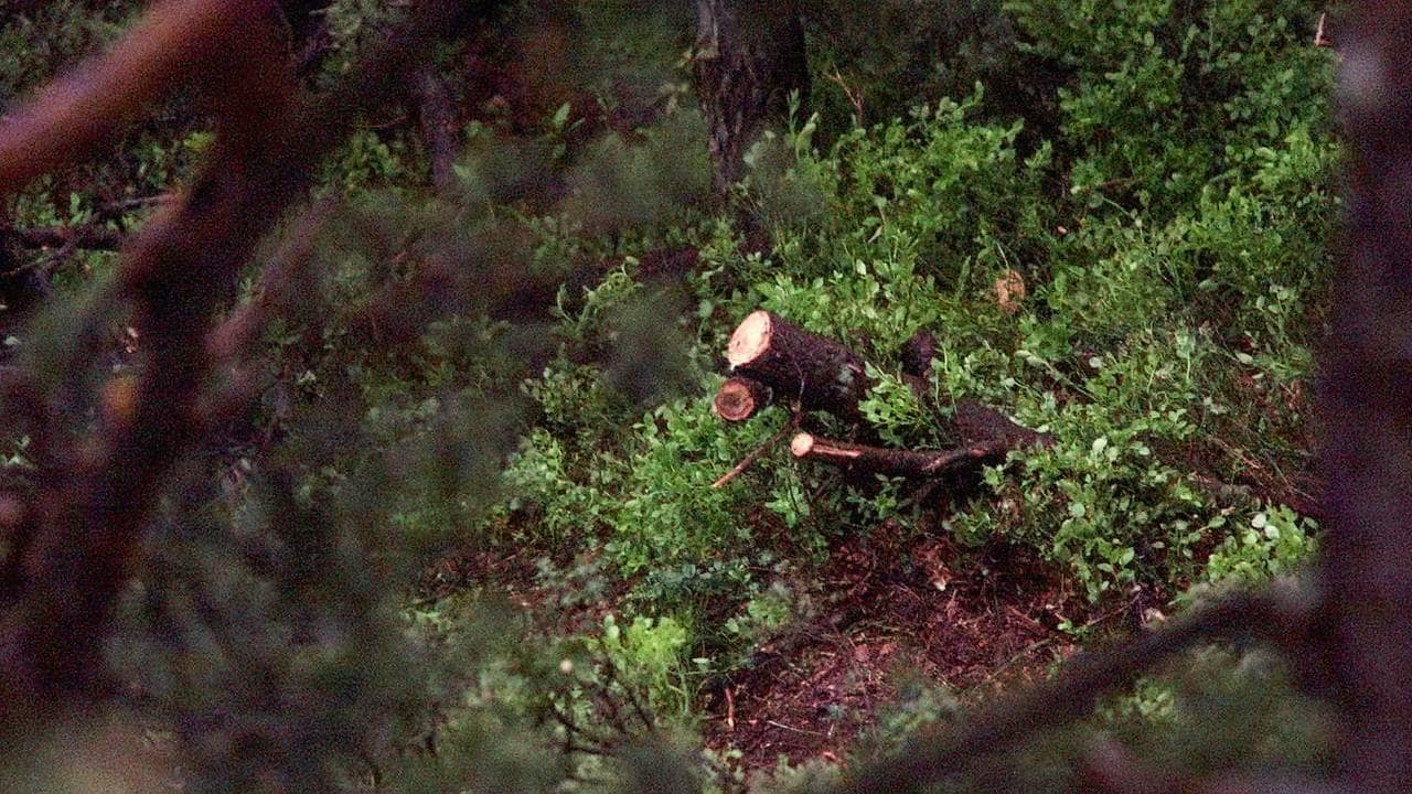 Åsted Baneheia 2000