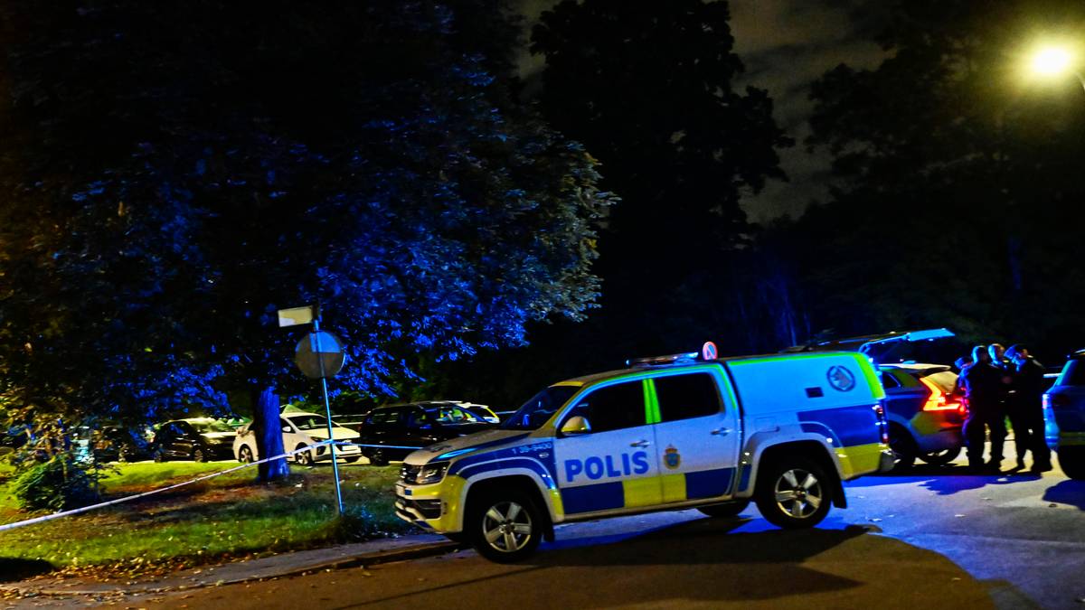 Rising Gun Violence Crisis in Sweden: Over 300 Shot and Killed, 48 of Them Teenagers